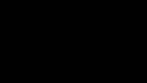 44548