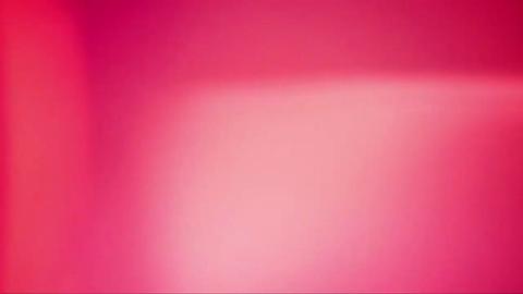 816