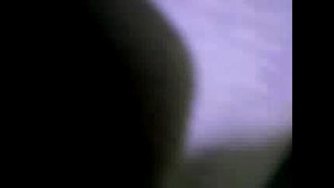 13788
