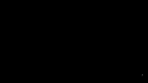 25061